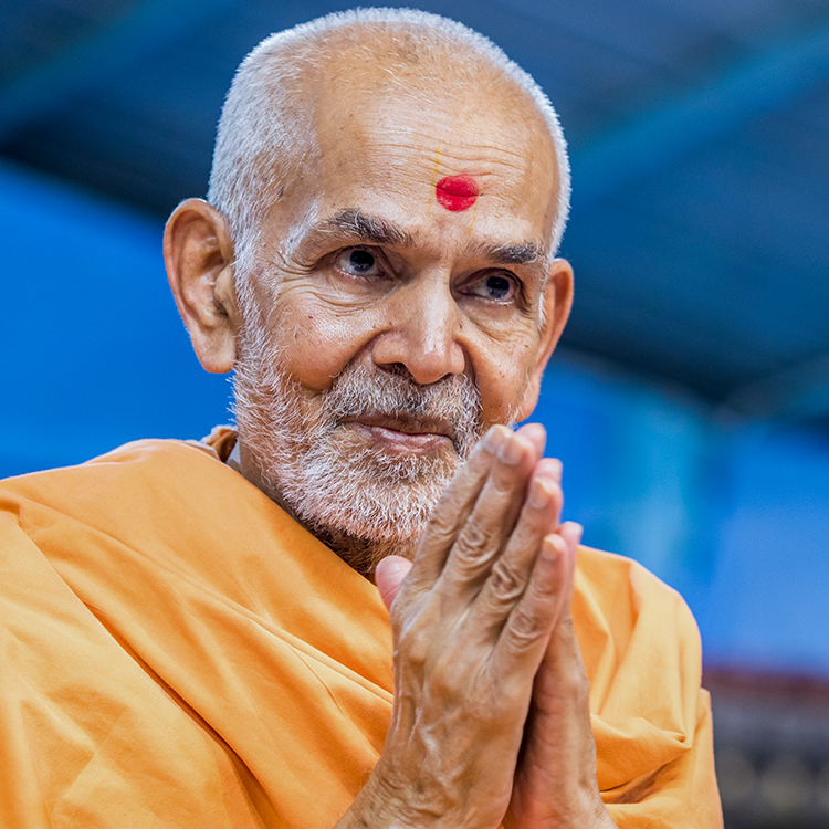 HH Mahant Swami Maharaj’s Birthday Celebration