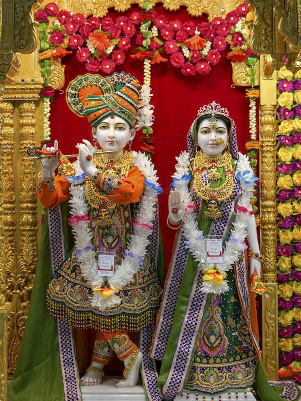 BAPS Shri Swaminarayan Mandir - Raleigh - Mandir info