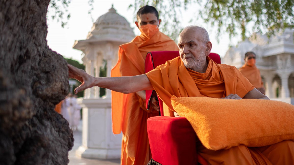 19 May 2024 - HH Mahant Swami Maharaj's Vicharan, Sarangpur, India